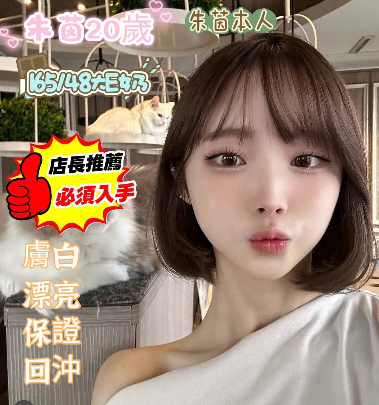 馬來西亞台南朱茵定點圖片