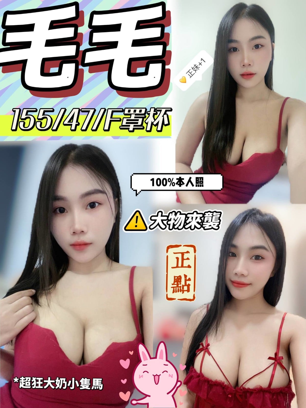 馬來西亞嘉義毛毛定點圖片