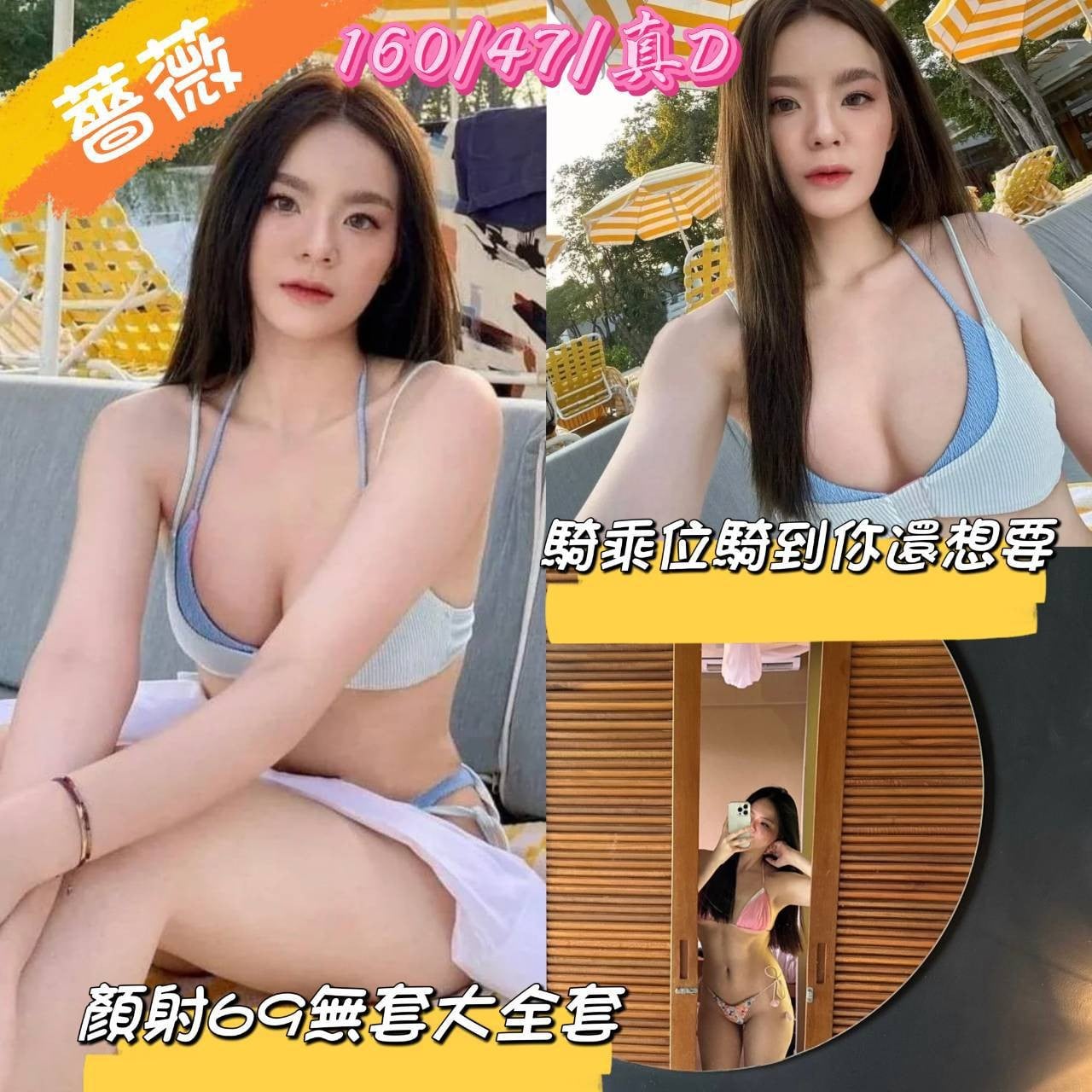馬來西亞嘉義薔薇定點圖片