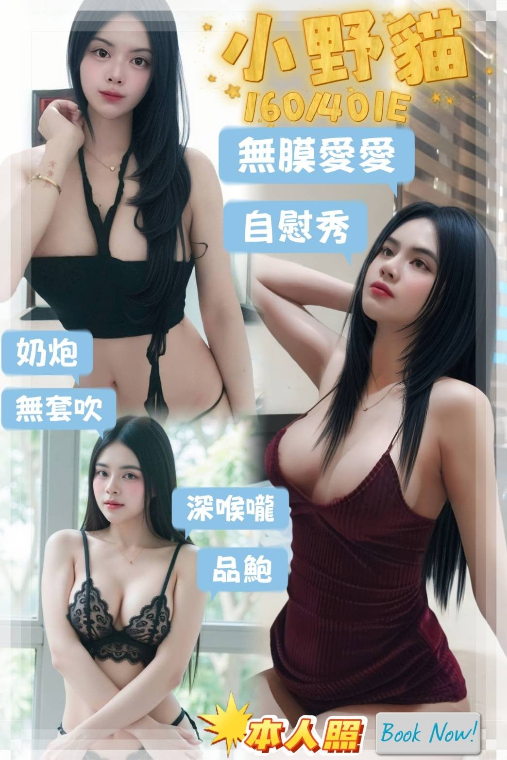 馬來西亞屏東小野貓定點圖片