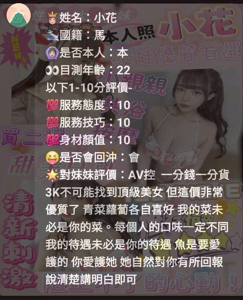 馬來西亞新竹小花定點圖片