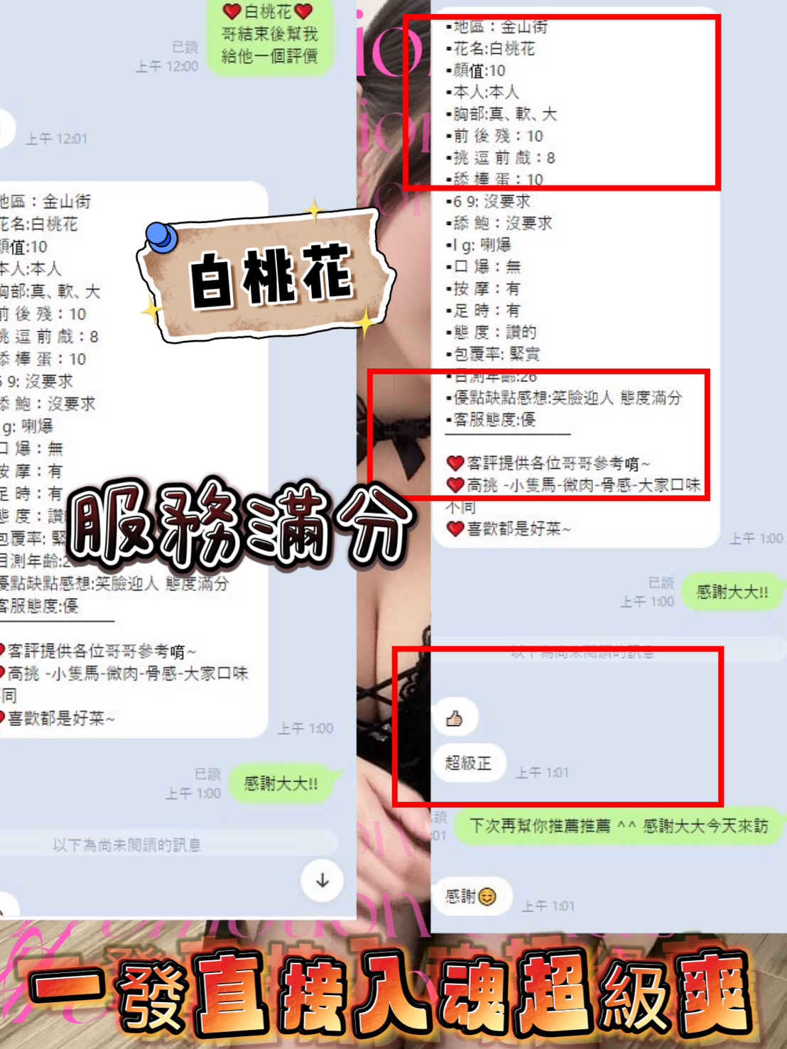 馬來西亞新竹莉娜定點圖片