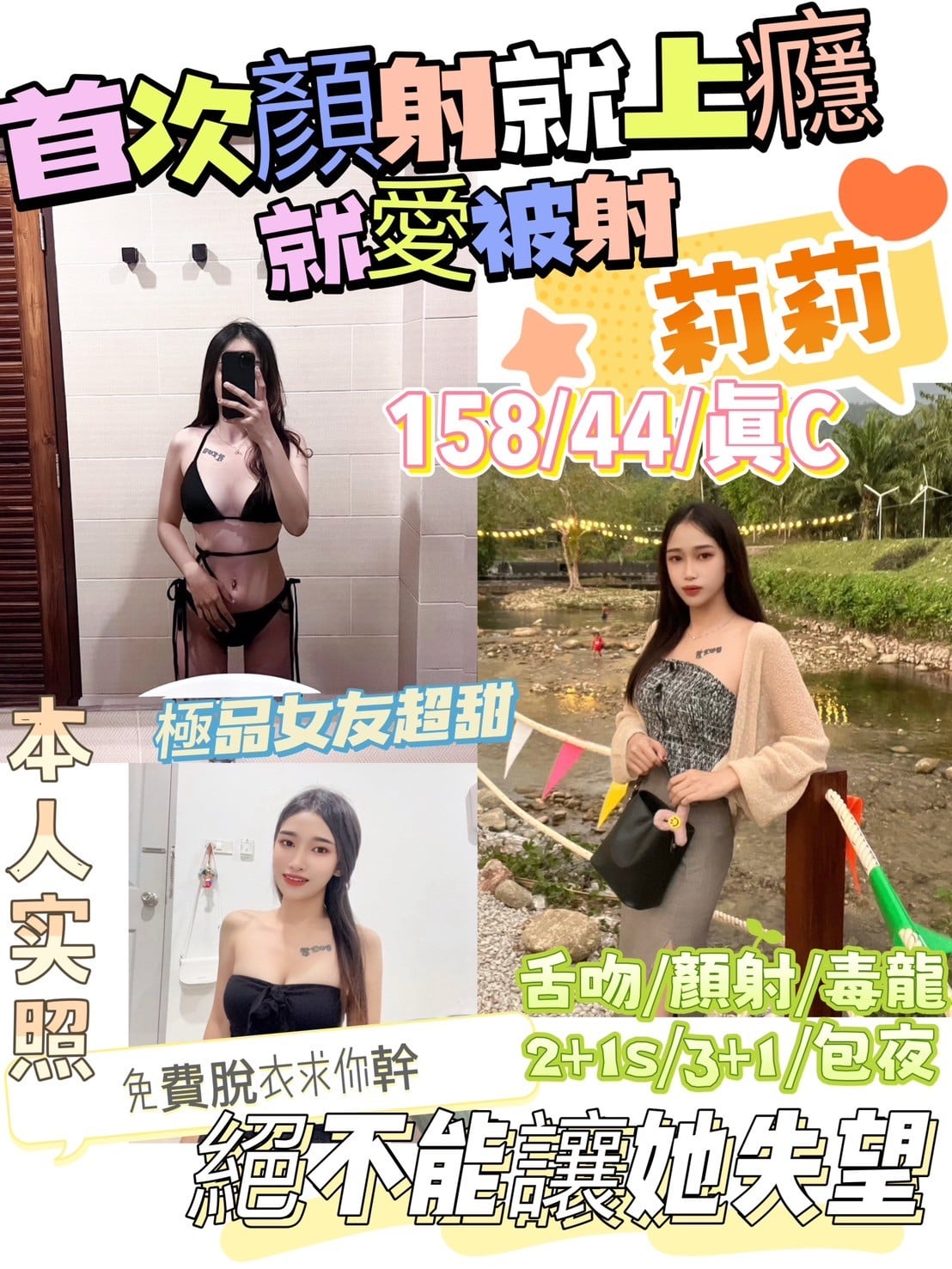馬來西亞新竹莉莉定點圖片