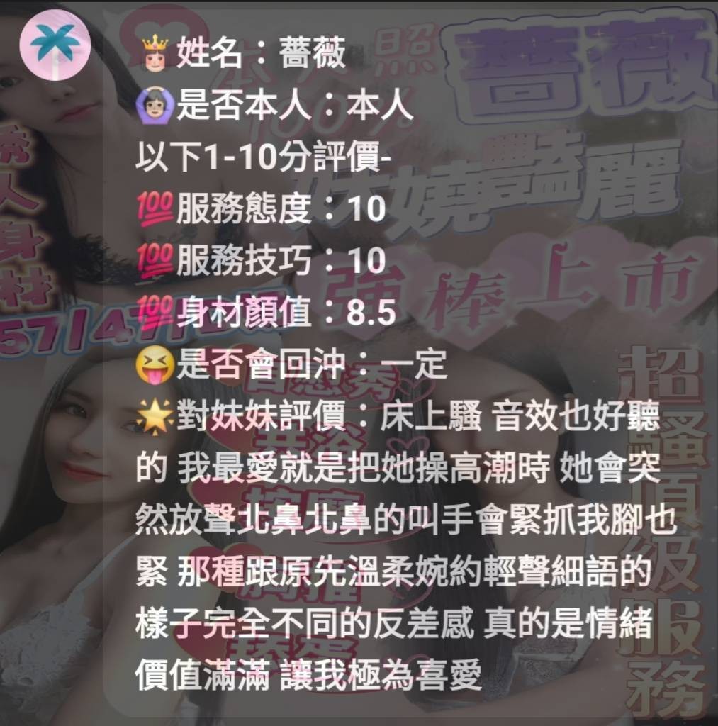 馬來西亞新竹薔薇定點圖片