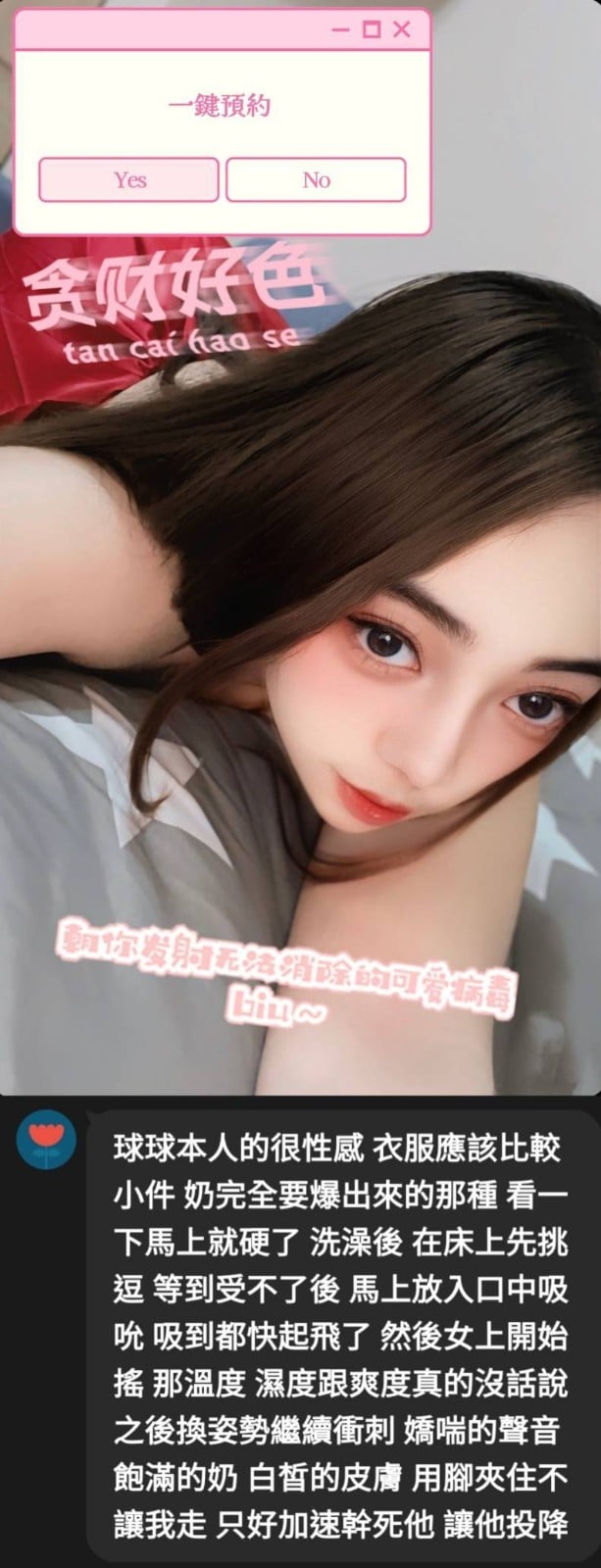 馬來西亞苗栗球球定點圖片