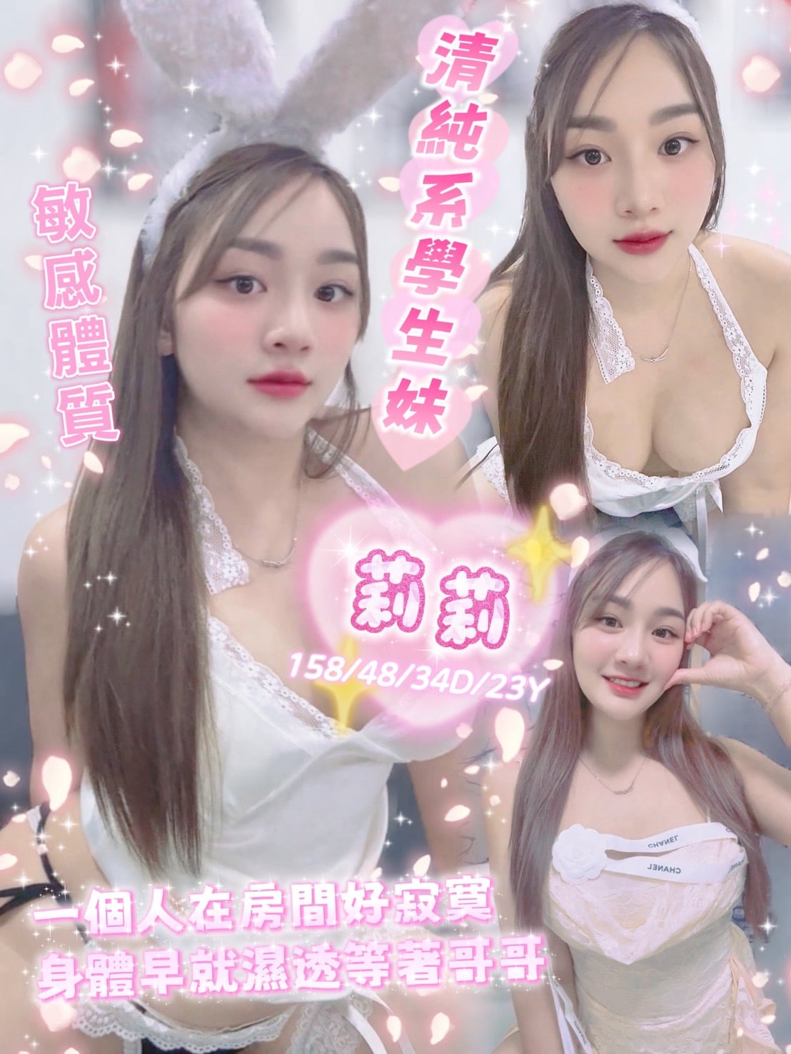 馬來西亞雲林莉莉定點圖片