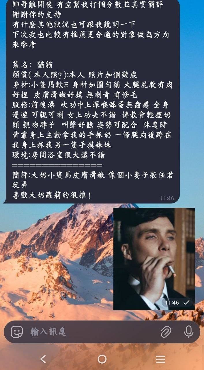 馬來西亞高雄貓貓定點圖片