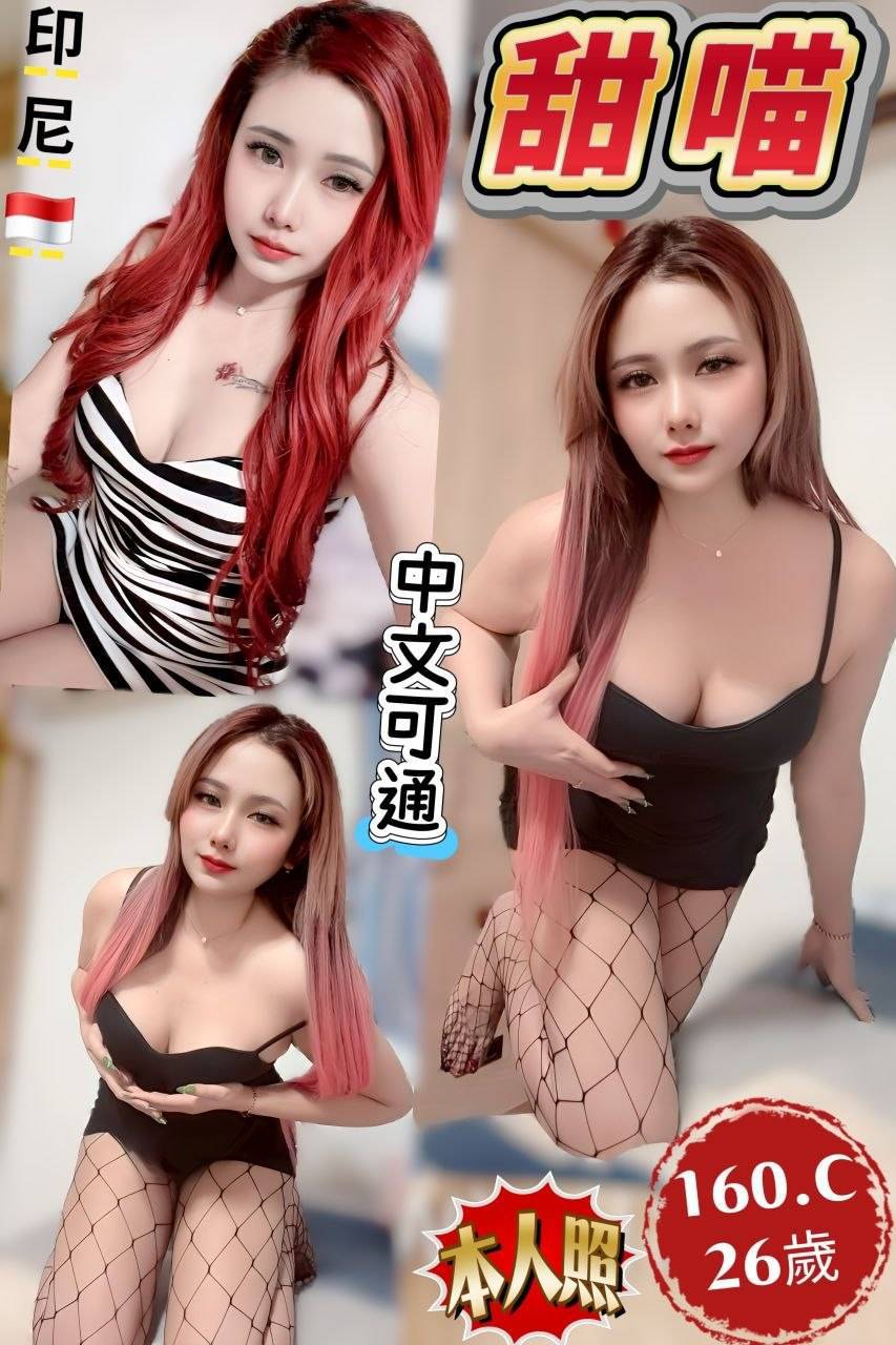 印尼台中甜喵定點圖片