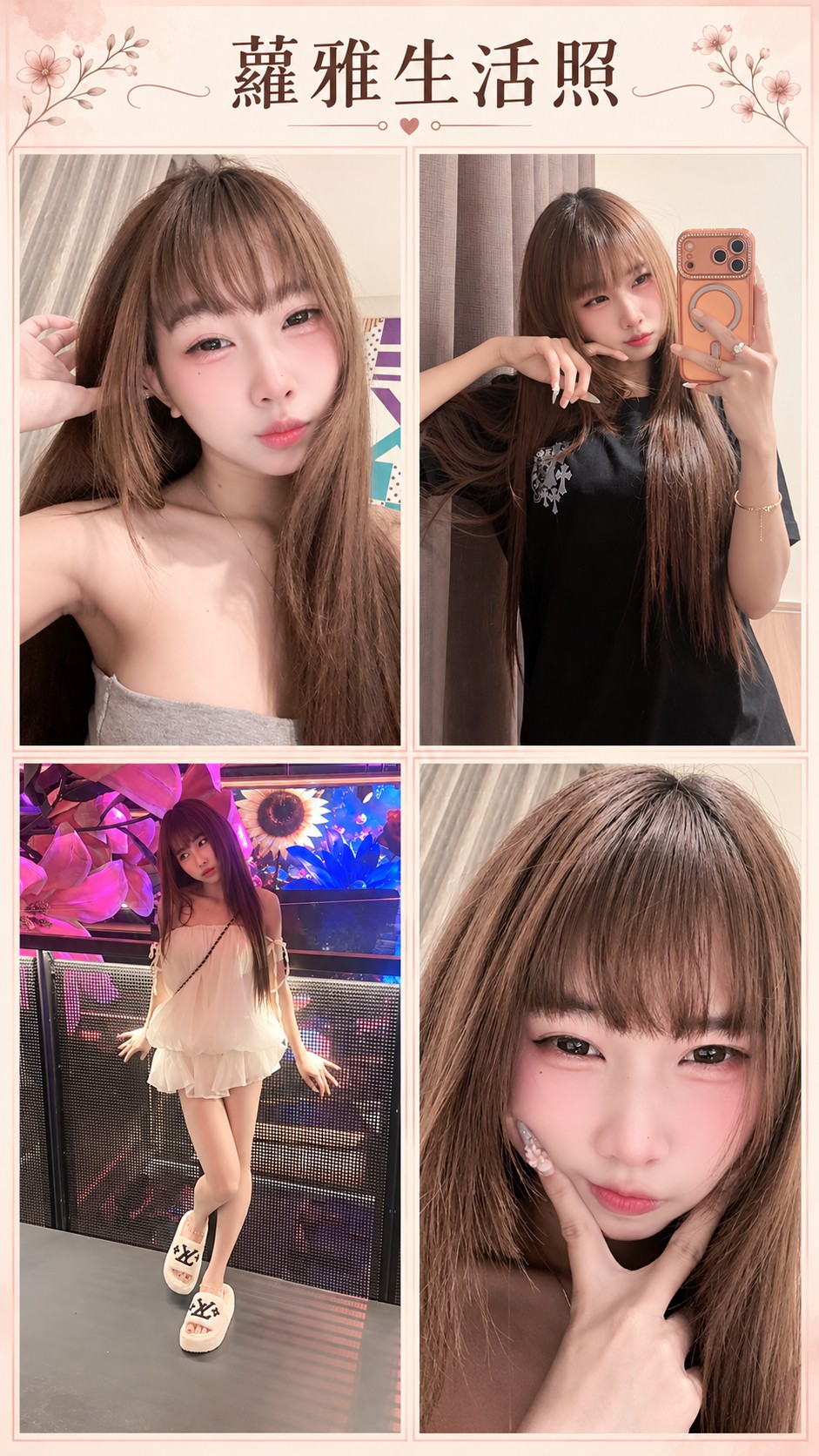 印尼台北泰妃糖定點圖片
