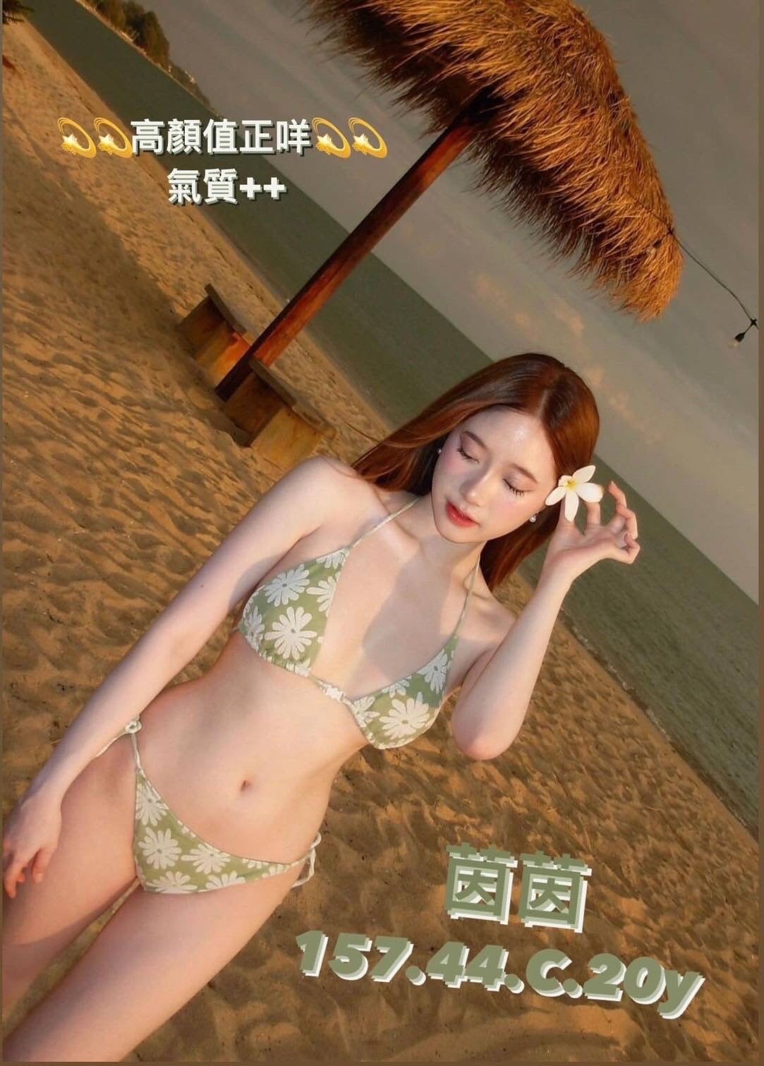 台灣台中茵茵外送圖片