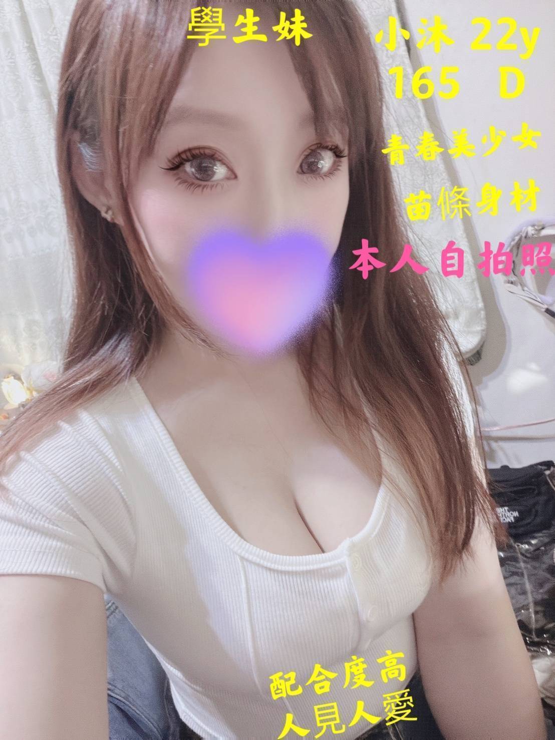 台灣台北布丁底單活動優惠定點圖片