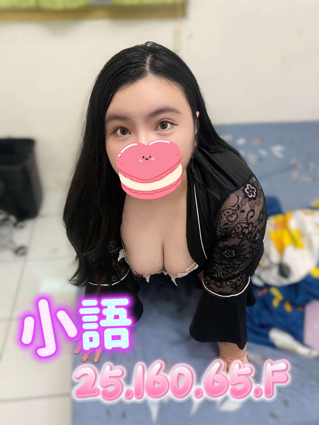 台灣台北(波波)定點圖片