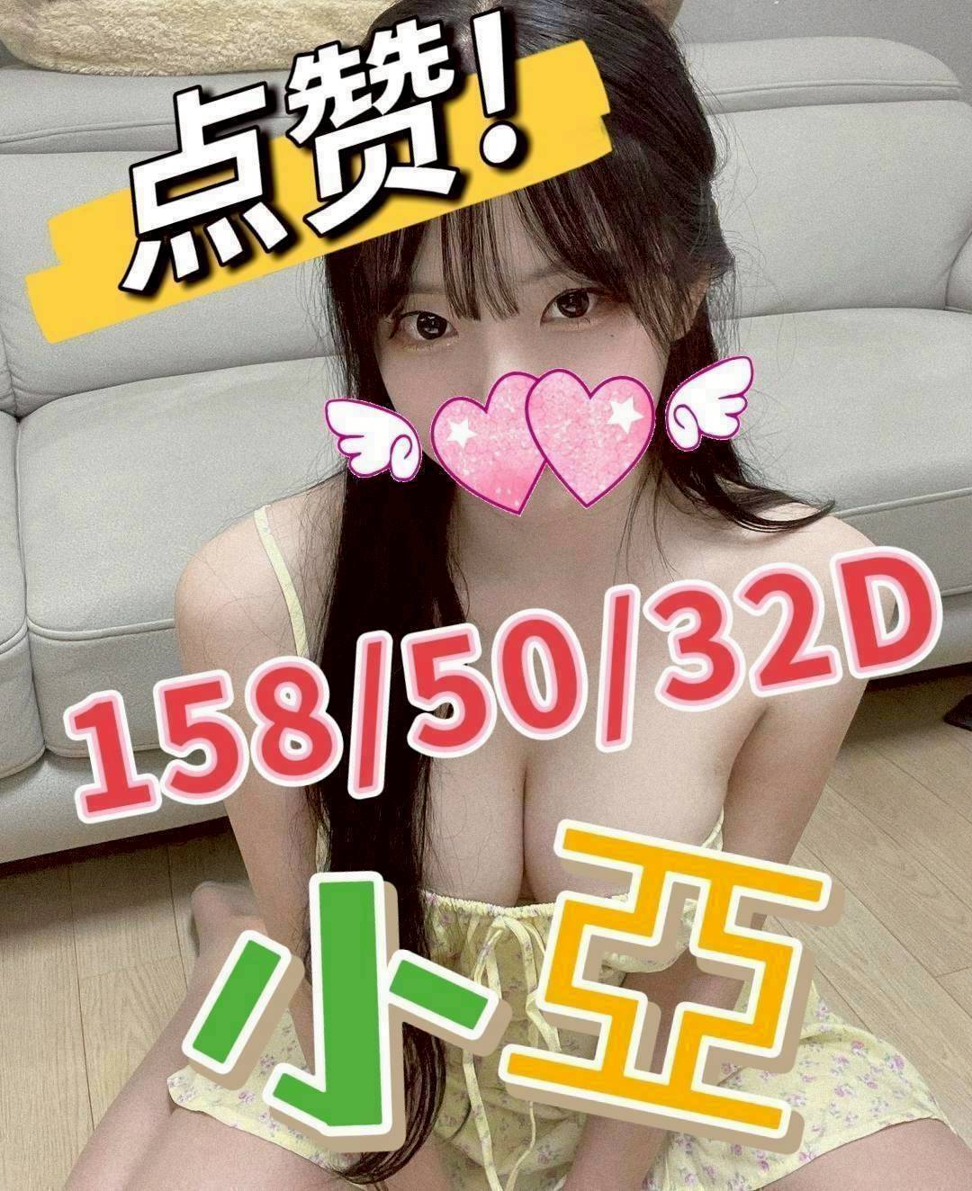 台灣嘉義小亞定點圖片