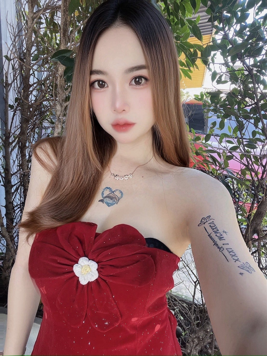 泰國台北蜜糖定點圖片
