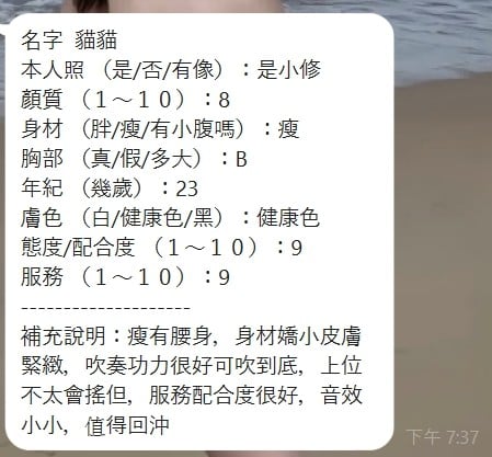 泰國新竹貓貓定點圖片