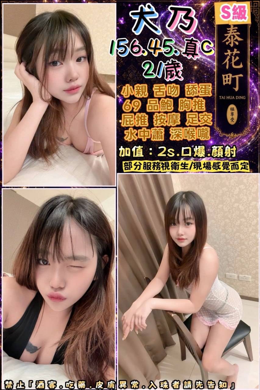 泰國高雄犬乃定點圖片