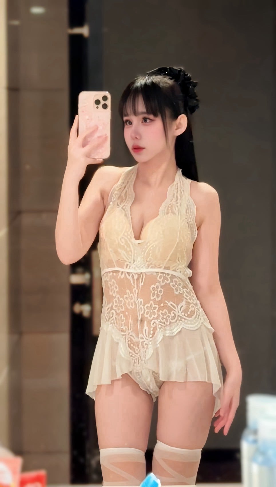 越南台北布偶定點圖片