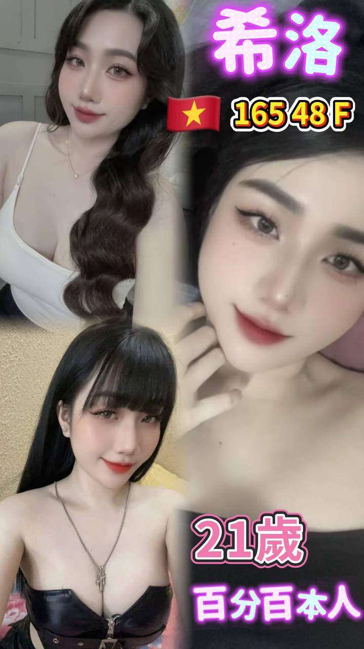 越南台北希洛定點圖片
