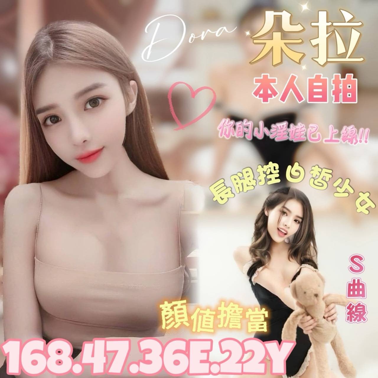 越南台北朵拉定點圖片