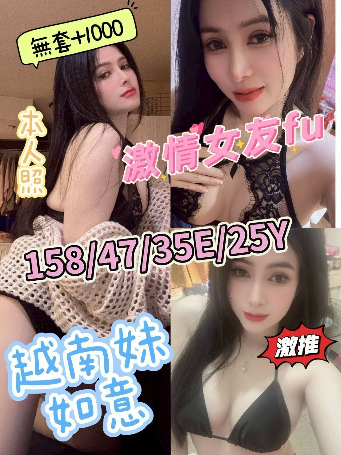 越南嘉義如意定點、外約圖片