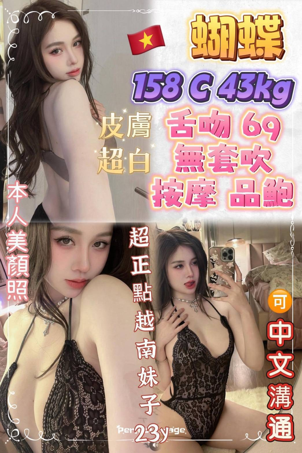 越南桃園蝴蝶定點圖片