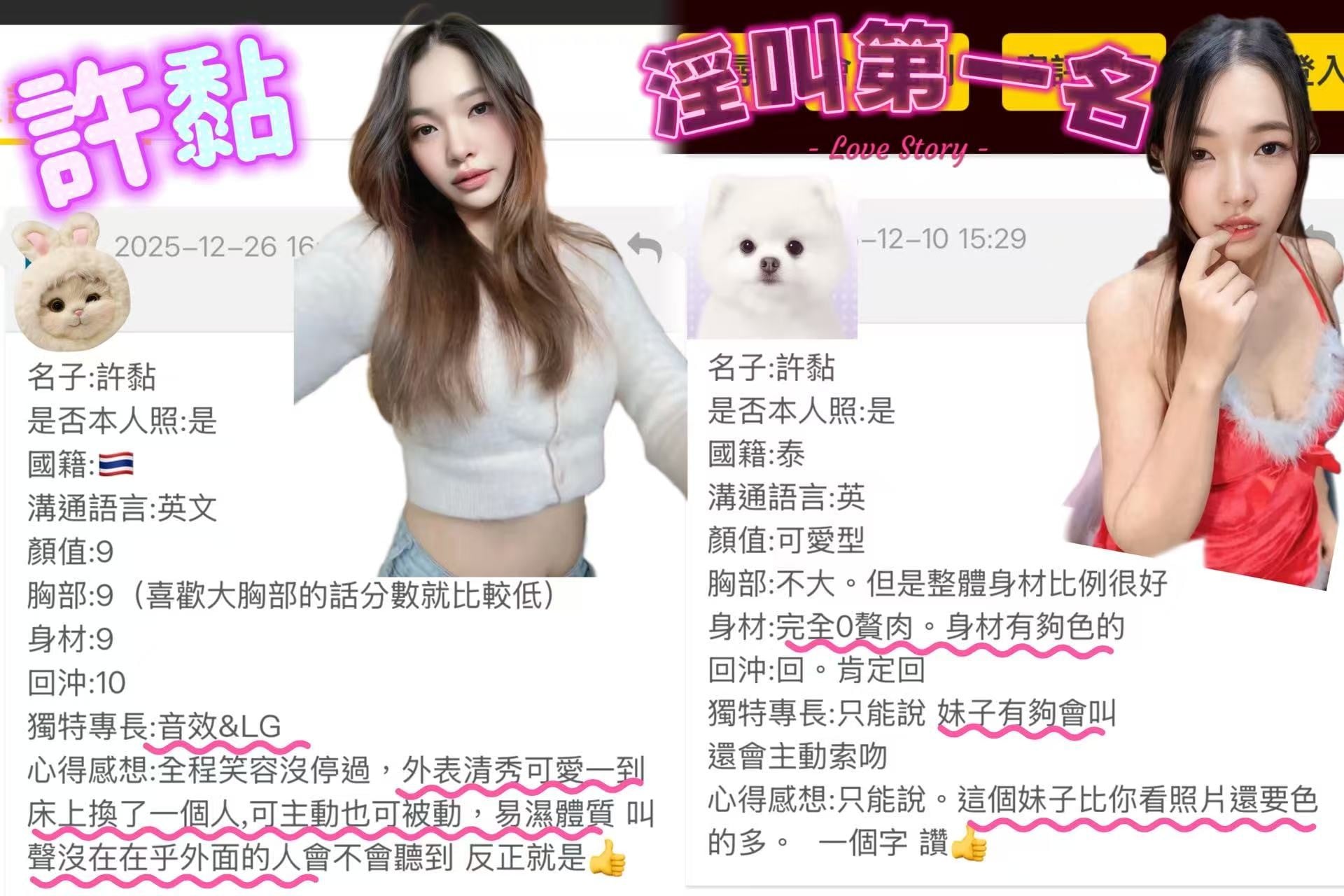 越南桃園許黏定點圖片