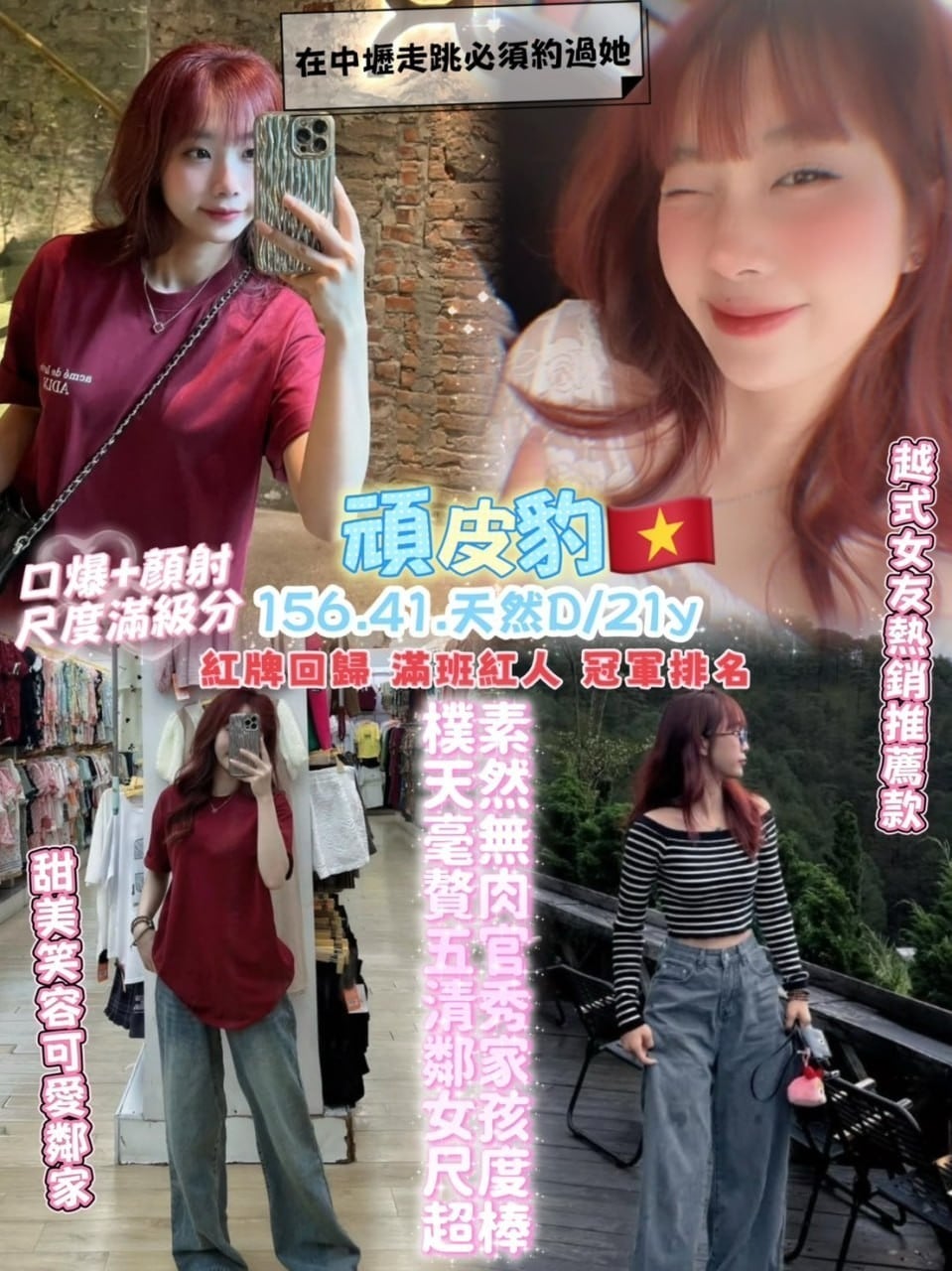 越南桃園頑皮豹定點圖片