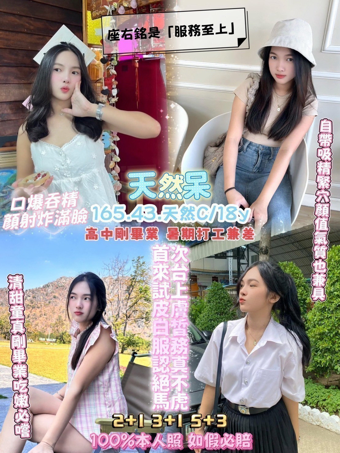 越南桃園頑皮豹定點圖片