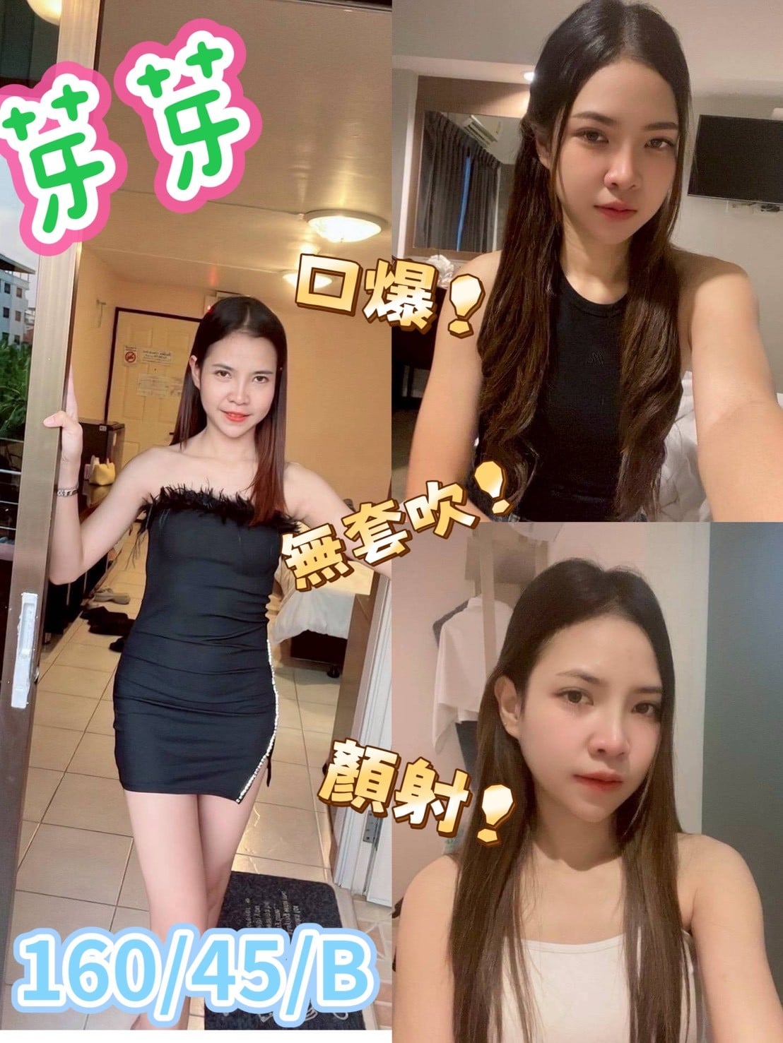 馬來西亞台中芽芽定點圖片