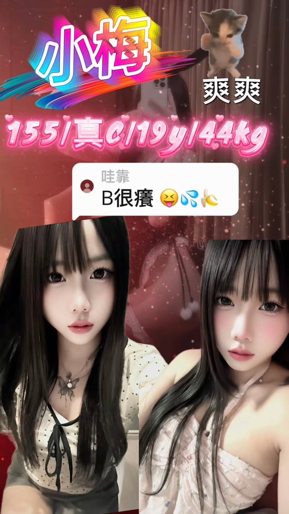 馬來西亞台北蘇雅定點圖片