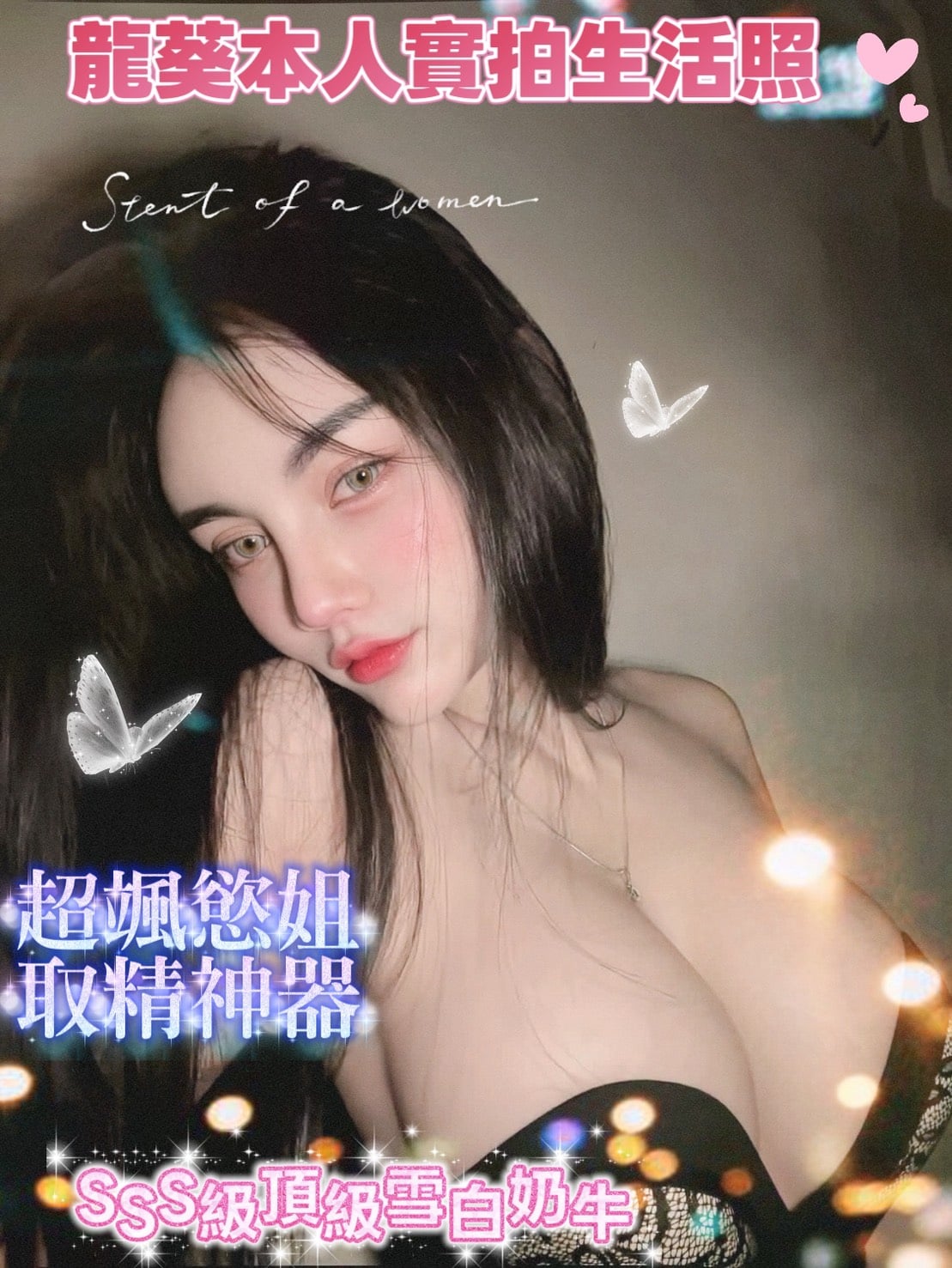 馬來西亞台南龍葵定點圖片