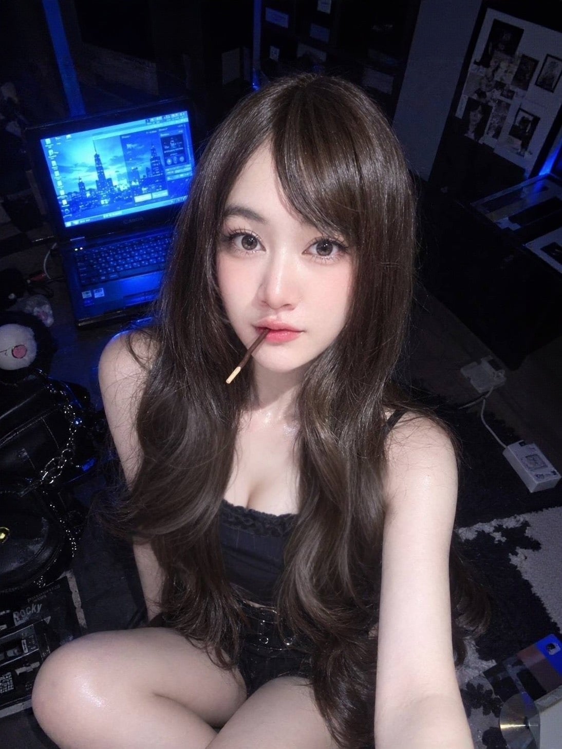 馬來西亞屏東乳霸姬定點圖片