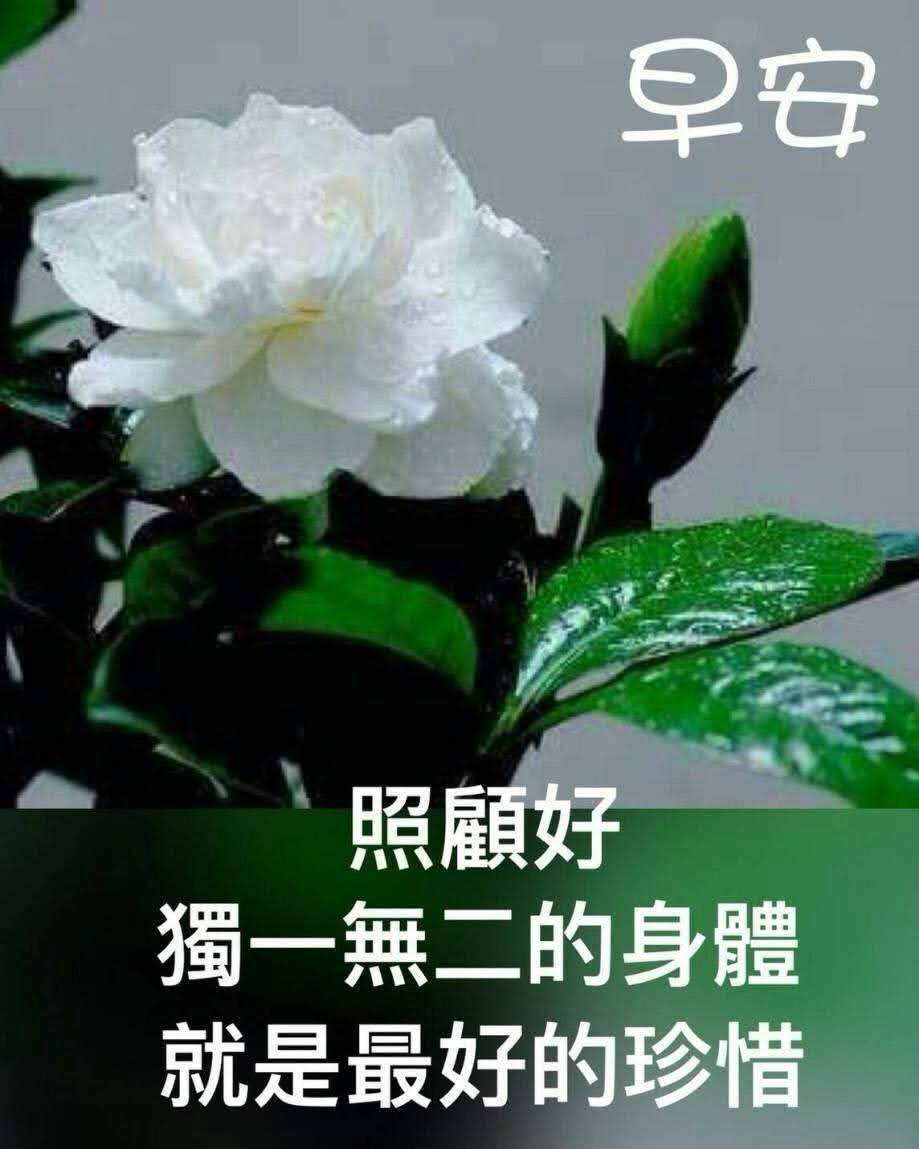 馬來西亞屏東安安捏定點圖片