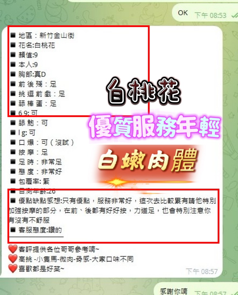 馬來西亞新竹兔姬定點圖片