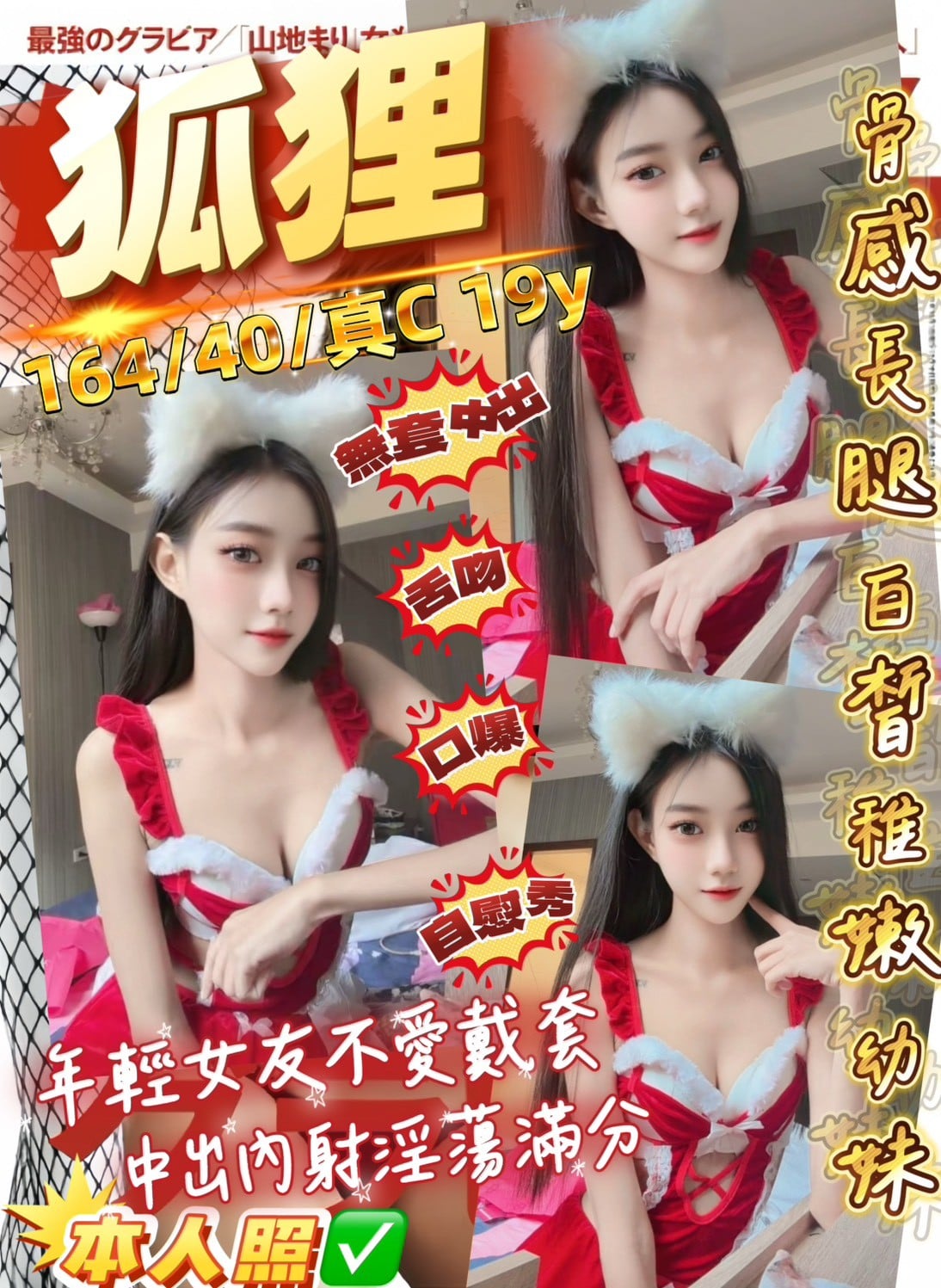 馬來西亞桃園狐狸定點圖片
