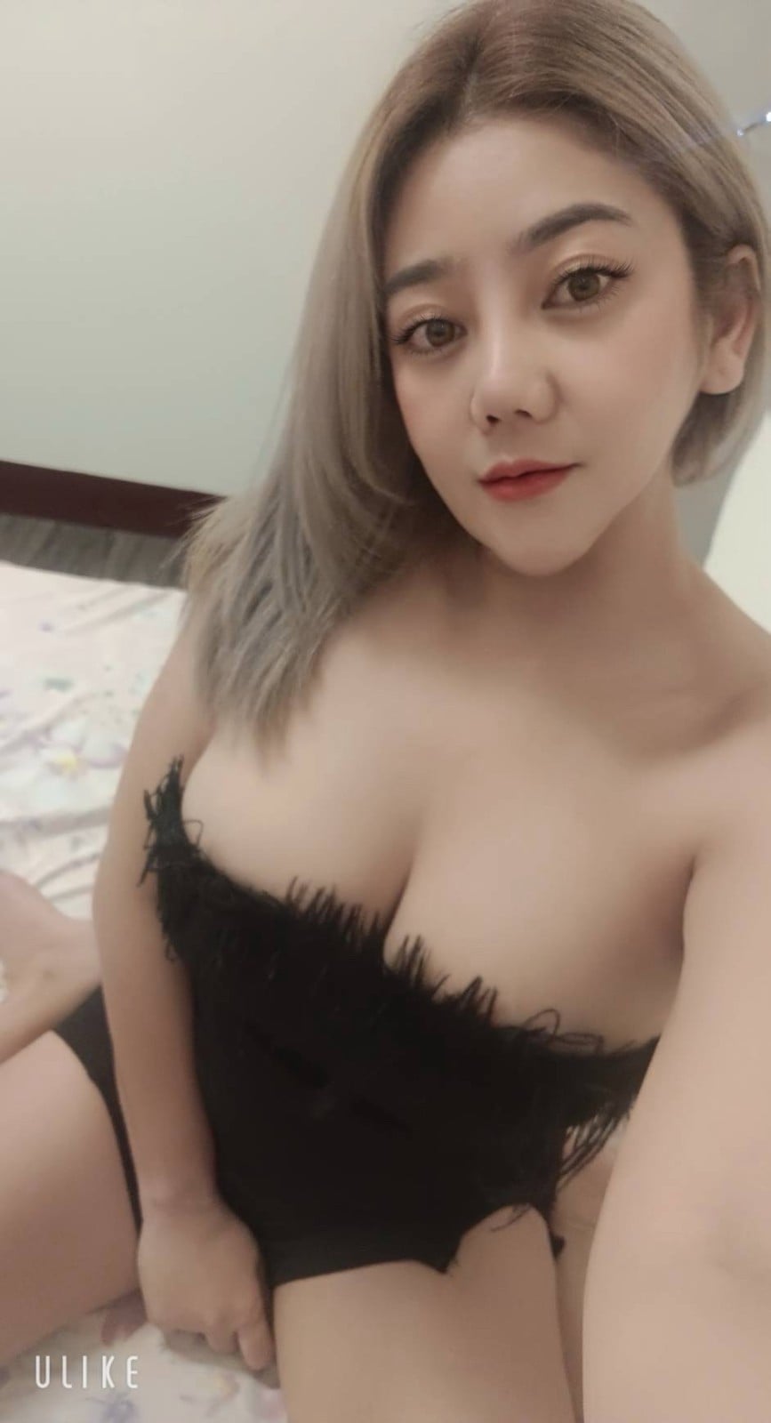 馬來西亞雲林奶姬定點圖片